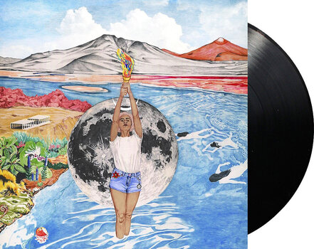 Disco de vinil Wallis Bird - Woman (LP) - 2