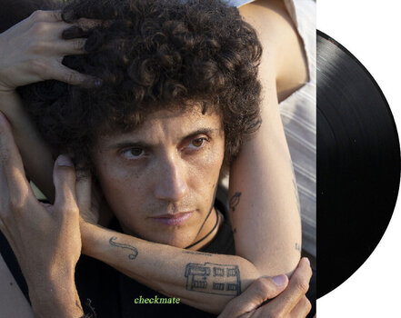 Schallplatte Ron Gallo - Checkmate (LP) - 2