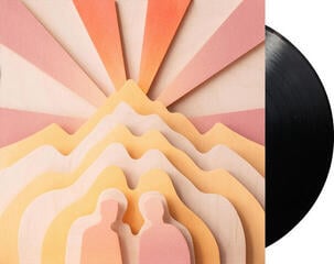 LP ploča Surfaces - Hidden Youth (LP) - 1