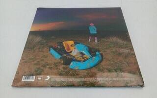 Vinyl Record Tyler The Creator - Cherry Bomb (Blue Coloured) (Anniversary Edition) (Reissue) (2 LP) (Just unboxed) - 2