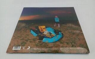 Vinyl Record Tyler The Creator - Cherry Bomb (Blue Coloured) (Anniversary Edition) (Reissue) (2 LP) (Just unboxed) - 3