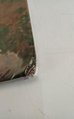 Vinyl Record Tyler The Creator - Cherry Bomb (Blue Coloured) (Anniversary Edition) (Reissue) (2 LP) (Just unboxed) - 4