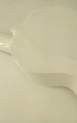 Сопрано укулеле Mahalo MR1 White Сопрано укулеле (Повреден) - 4