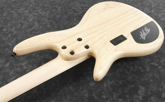 Fretless E-Bass Ibanez GWB1005-NTF Natural Flat Fretless E-Bass - 5