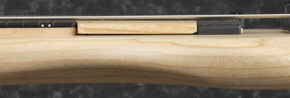 Fretless E-Bass Ibanez GWB1005-NTF Natural Flat Fretless E-Bass - 8