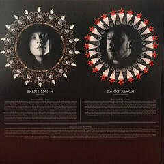 Грамофонна плоча Shinedown - Amaryllis (Rustic Green Coloured) (2 LP) - 6