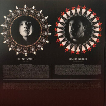 LP ploča Shinedown - Amaryllis (Rustic Green Coloured) (2 LP) - 7