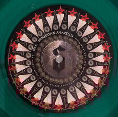 Грамофонна плоча Shinedown - Amaryllis (Rustic Green Coloured) (2 LP) - 2