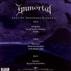 Płyta winylowa Immortal - Sons Of Norhern Darkness (Gatefold Sleeve) (2 LP) - 2