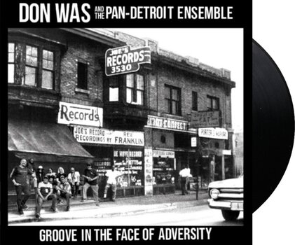 LP ploča Don Was - Groove In The Face Of Adversity (180 g) (LP) - 2