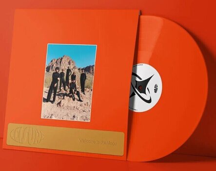 LP ploča Leisure - Welcome To The Mood (Limited Edition) (Orange Coloured) (LP) - 2