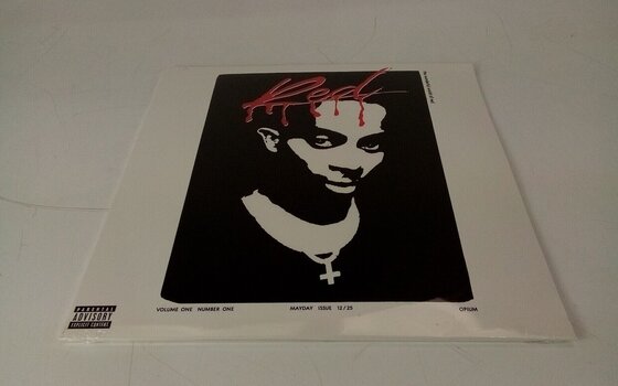Disco in vinile Playboi Carti - Whole Lotta Red (2 LP) (Solo aperto) - 2