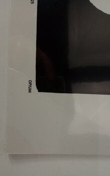 Disco in vinile Playboi Carti - Whole Lotta Red (2 LP) (Solo aperto) - 3