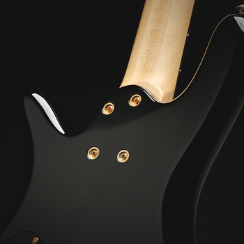 5-strunná baskytara Spector Icon NS-5 Black Stain Gloss 5-strunná baskytara - 8