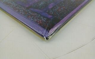 Vinyl Record Temple Of The Dog - Self-Titled (2 LP) (180g) (Just unboxed) - 2