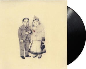 Schallplatte The Decemberists - The Crane Wife (2 LP) - 1
