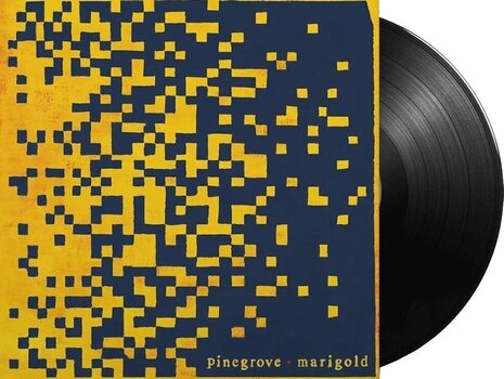 Vinylplade Pinegrove - Marigold (LP) - 2