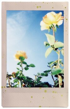 Photo Paper
 Fujifilm Instax Mini Soft Glitter Soft Glitter 10 pcs Photopaper - 3