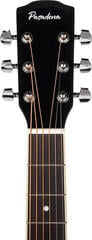 Chitarra Acustica Pasadena PD-300 Black Chitarra Acustica - 5