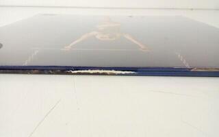 Δίσκος LP Miley Cyrus - Endless Summer Vacation (Limited Edition) (White Coloured) (LP) (Αποσυσκευασμένο μόνο) - 2