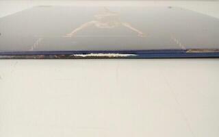 Płyta winylowa Miley Cyrus - Endless Summer Vacation (Limited Edition) (White Coloured) (LP) (Tylko rozpakowane) - 2