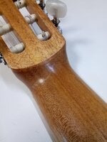 Cordoba Protege C1 Matiz 4/4 Pale Sky Класическа китара