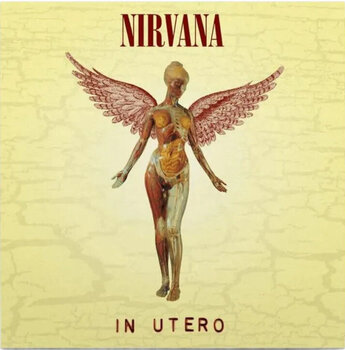 Gift Set Nirvana - In Utero (180 g) (LP) SET 2XL - 2