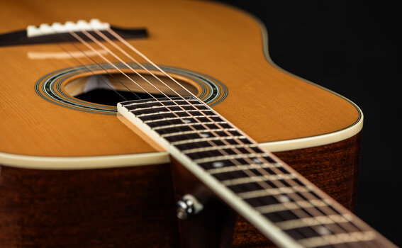 Dreadnought Guitar Pasadena PD-350 Natural Gloss Dreadnought Guitar - 9