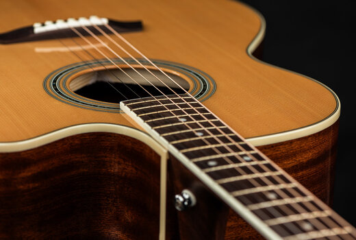 Jumbo Guitar Pasadena PJC-350 Natural Gloss Jumbo Guitar - 9