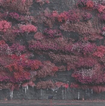 Σετ Δώρου Sleep Token - Even In Arcadia (2 LP) SET S - 2