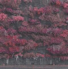 Set de regalo Sleep Token - Even In Arcadia (2 LP) SET Black - 1