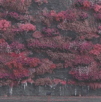 Dāvanu Komplekts Sleep Token - Even In Arcadia (2 LP) SET XL - 2