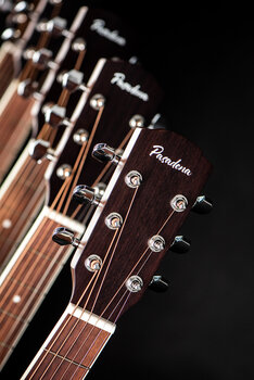 Akustikgitarre Pasadena PDC-300 Natural Satin Akustikgitarre - 12