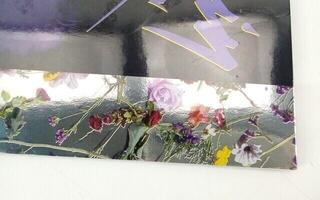 Vinyl Record Prince - Purple Rain (with The Revolution) (LP) (Just unboxed) - 3