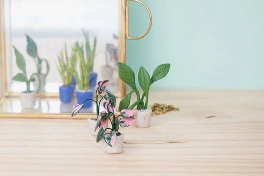 Pastă polimerică Cernit Starter Kit Pastă polimerică - 3