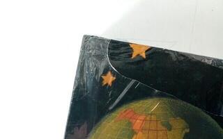 Vinyl Record The Smashing Pumpkins - Mellon Collie & The Infinite Sadness (Reissue) (Remastered) (4 LP) (Just unboxed) - 2