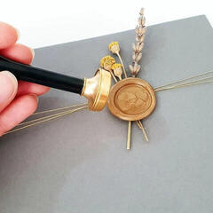 Pečatenje Aladine 71110 Ročaj tesnila - 2