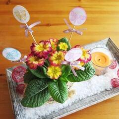 Ștampila pentru copii Aladine Stampo Izink Set De Pigmenți Pastel Colors - 3