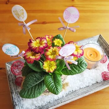 Pečat Aladine Stampo Izink Set pigmenata Pastel Colors - 4