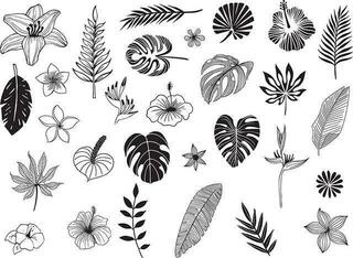 Pečat Aladine 03744 Сет за заптивање 29 Ком-Тропско лишће - 1