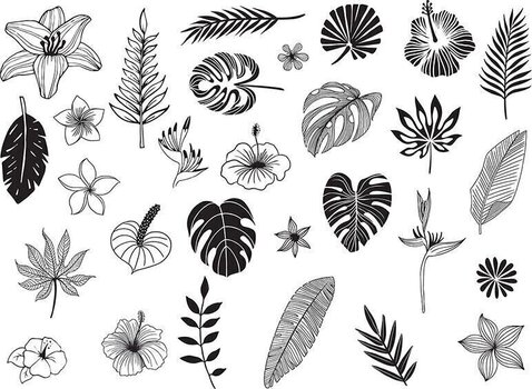 Razítko Aladine 03744 Sada razítek 29 ks-Tropické listy - 2