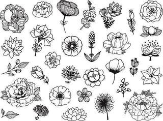 Pečat Aladine 03750 Сет за заптивање 31 Ком-Букет - 1