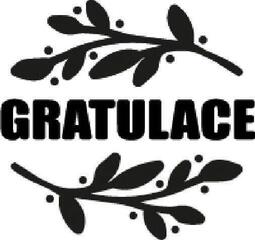 Sigillering Aladine 55055 Täta Grattis - 1