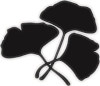 Tetting Aladine Stamp Gingko - 3