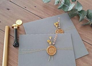 Pečatenje Aladine 70175 Pečat Ginko - 3