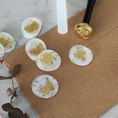 Scellement Aladine 72429 Cire à cacheter Transparent - 2