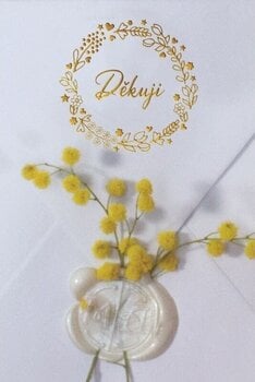 Pečatenje Aladine 72429 Печатни Восак Transparent - 5