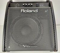 Roland PM-200 Drum Monitor System