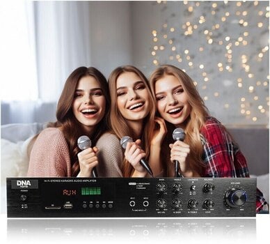 Hi-fi интегрален усилвател
 DNA AMPLI 5.0 Hi-fi интегрален усилвател - 6