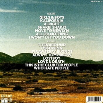 LP ploča The Subways - All Or Nothing (LP) - 2